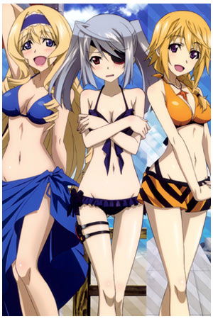 6 Anime Like Infinite Stratos Recommendations