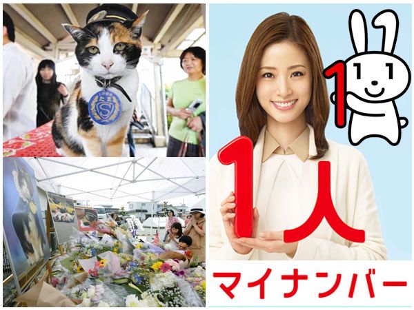 Japan's love of cats, and the cutest Social Security Number program ever