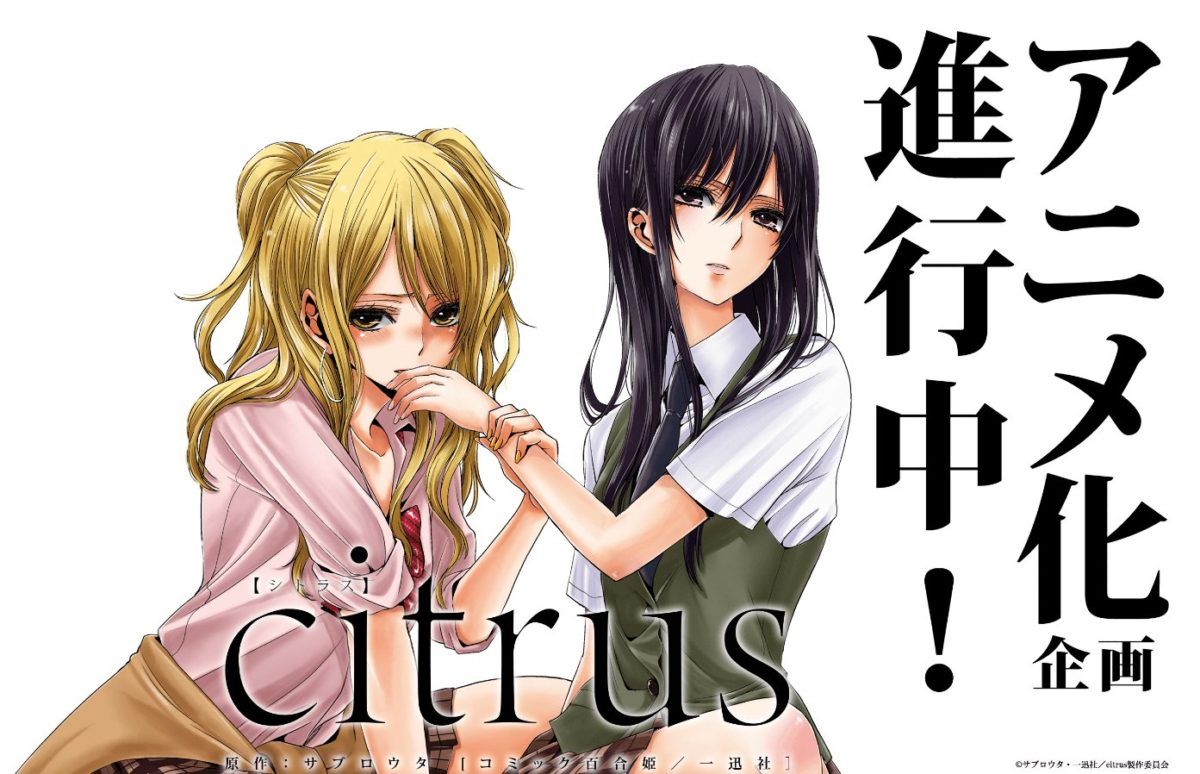 Anime Visual Revealed for Yuri Manga Citrus | J-List Blog