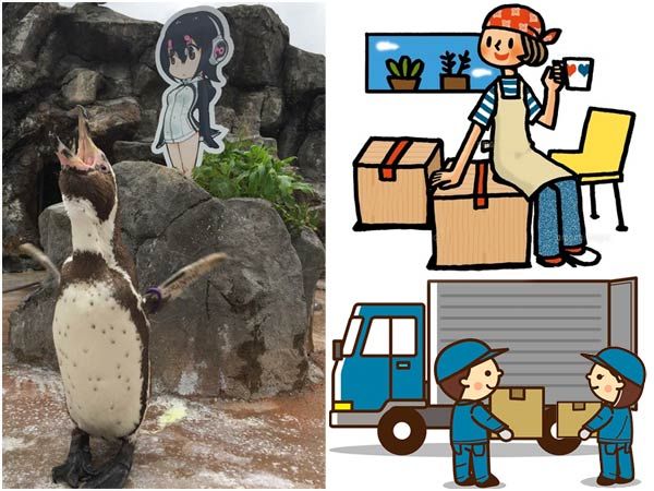 J-List moving day and Grape-kun the penguin