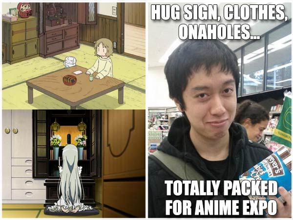 the history of anime expo