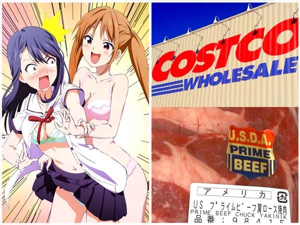 Aho Girl and Costco stores in Japan