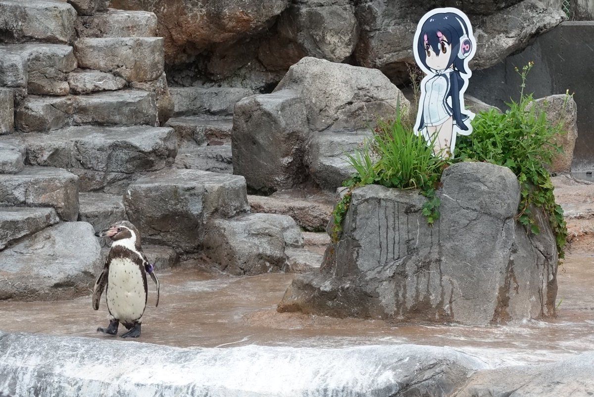 The Legendary 2D Girl Loving Otaku Penguin Grape Kun Passes Away 1