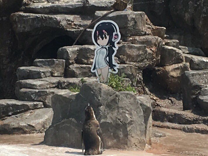The Legendary 2D Girl Loving Otaku Penguin Grape Kun Passes Away 2