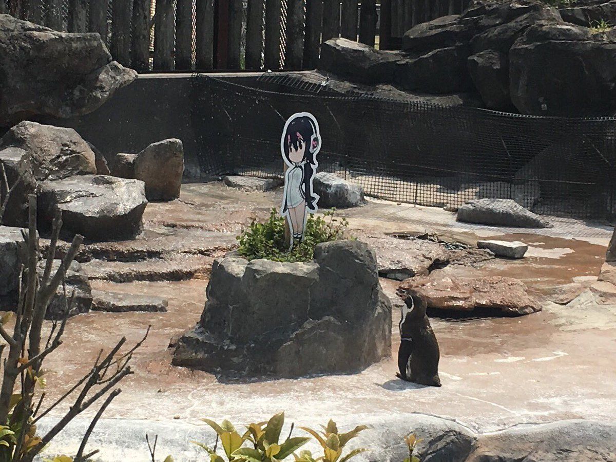 The Legendary 2D Girl Loving Otaku Penguin Grape Kun Passes Away 3