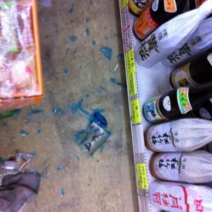 Tohoku Earthquake 2011 Sake Bottle Damage