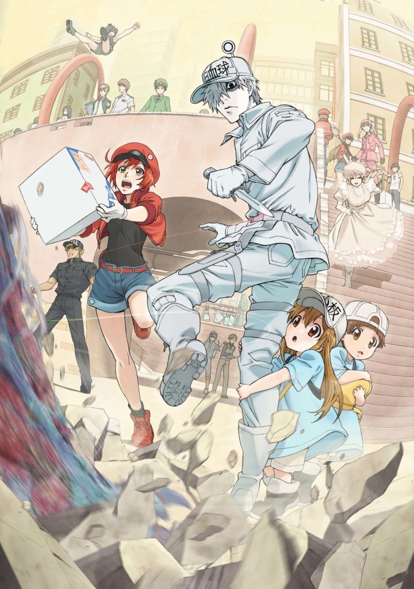 Cells At Work Anime Visual