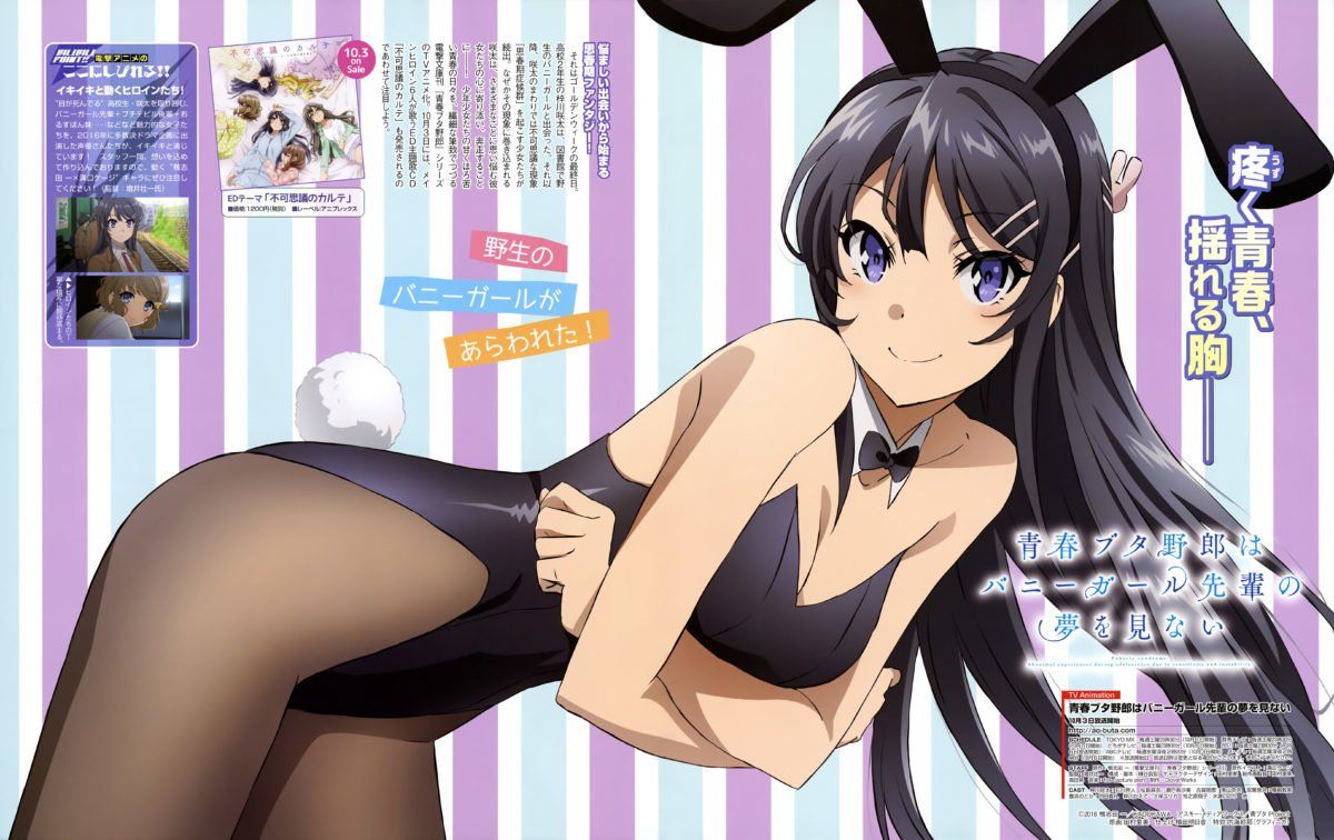 Seishun Buta Yarou Anime Visual Magazine Spread