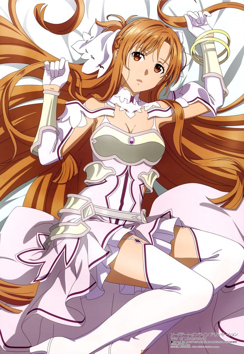 Megami Magazine February 2020 Anime Posters Sword Art Online Alicization