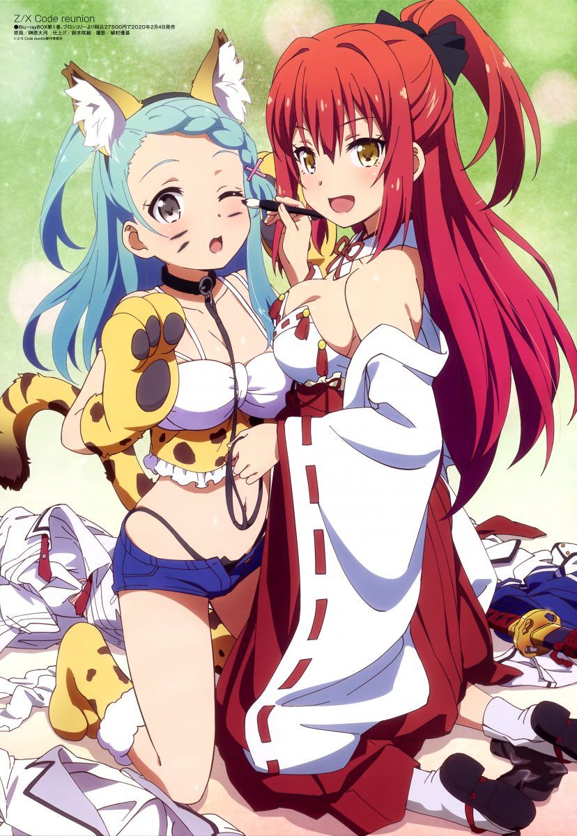 Megami Magazine February 2020 Anime Posters Z X Code Reunion