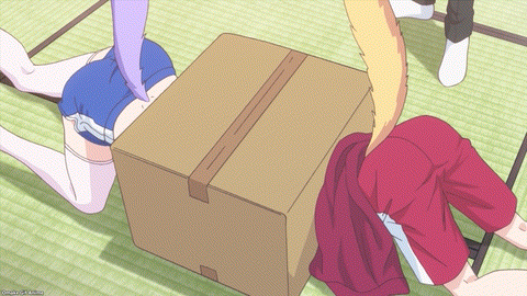 Nekopara Episode 6 Maple Cinnamon Dived Into Box