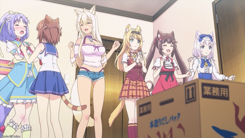 Nekopara Episode 11 Total Chaos In Front Of Cacao's Box
