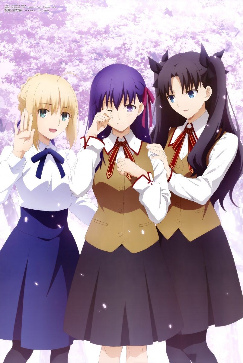 Megami Magazine April 2020 Anime Posters Fate Stay Night Heaven's Feel