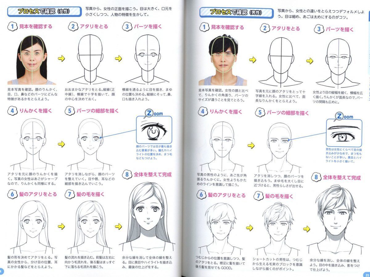Shows How To Understand The Structure Of The Face