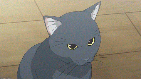 Uzaki Chan Wa Asobitai! Episode 9 Kitty Recognizes Tsuki's Flag