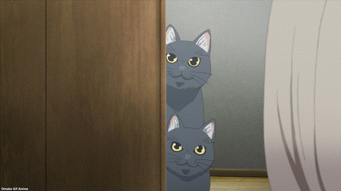Uzaki Chan Wa Asobitai! Episode 9 Sakurai Wants To Pet Cats