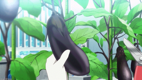 One Room Third Season Episode 3 Akira Snips Eggplant