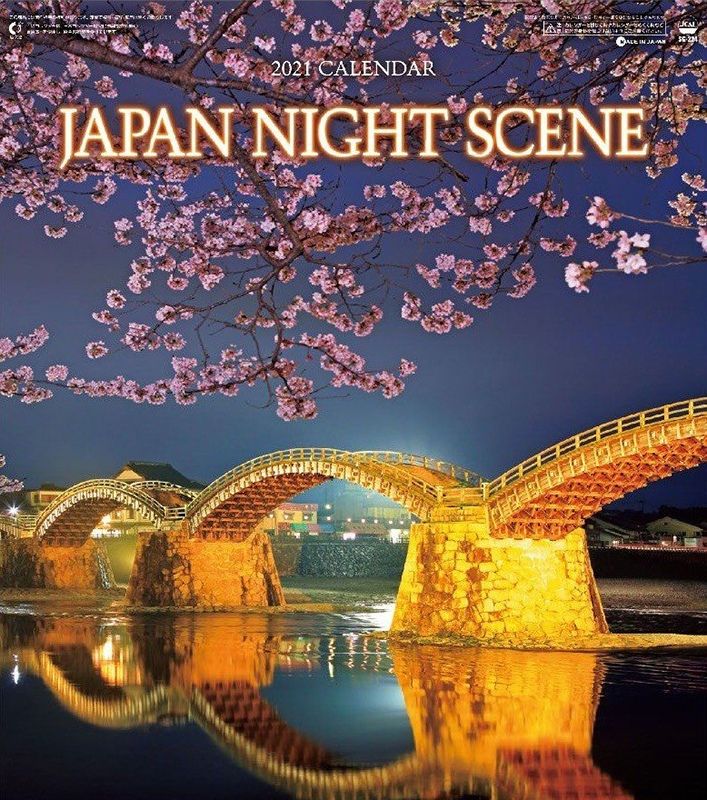 Aa 1112 46521 D8z Screencap Japan Night Scene 2021 Calendar 1