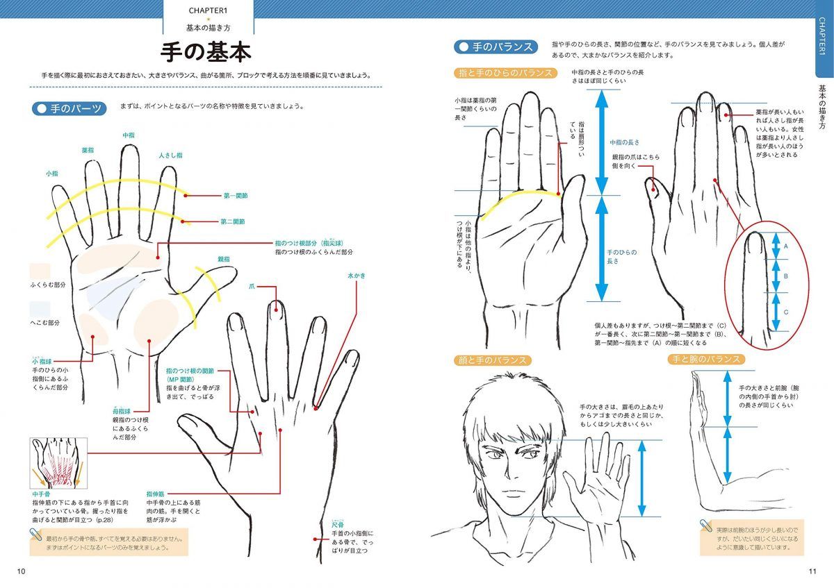 How To Draw Hands Presented By Takahiro Kagami 0002