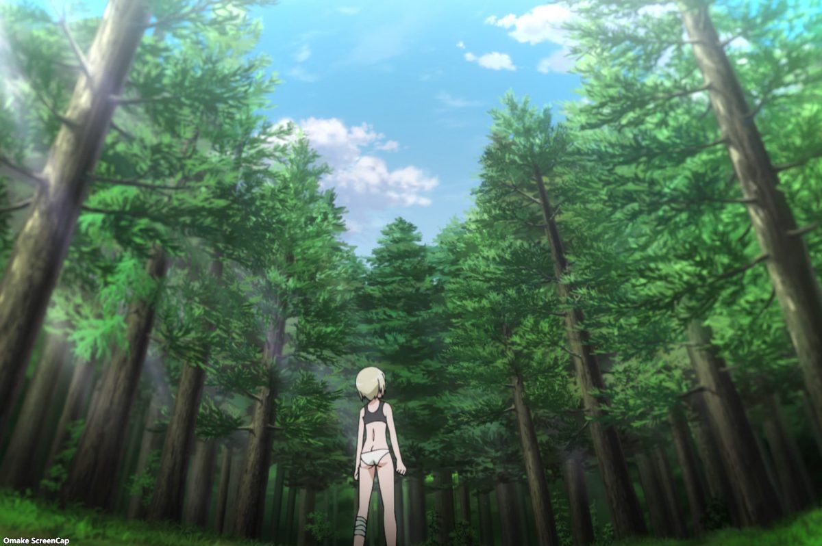 Strike Witches Road To Berlin Episode 6 Erica Watches The Sky
