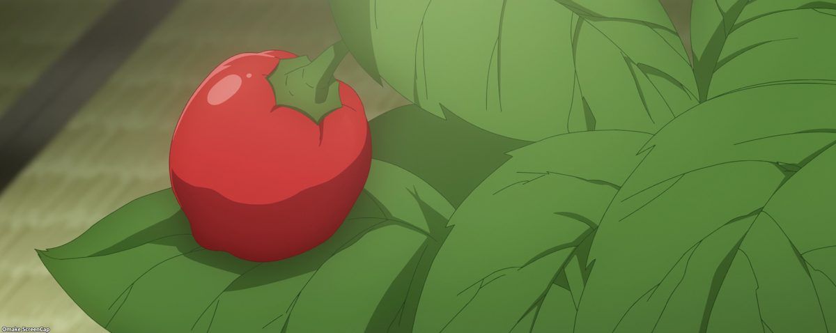 The Great Jahy Will Not Be Defeated! Episode 11 Tomarou's Not Tomato
