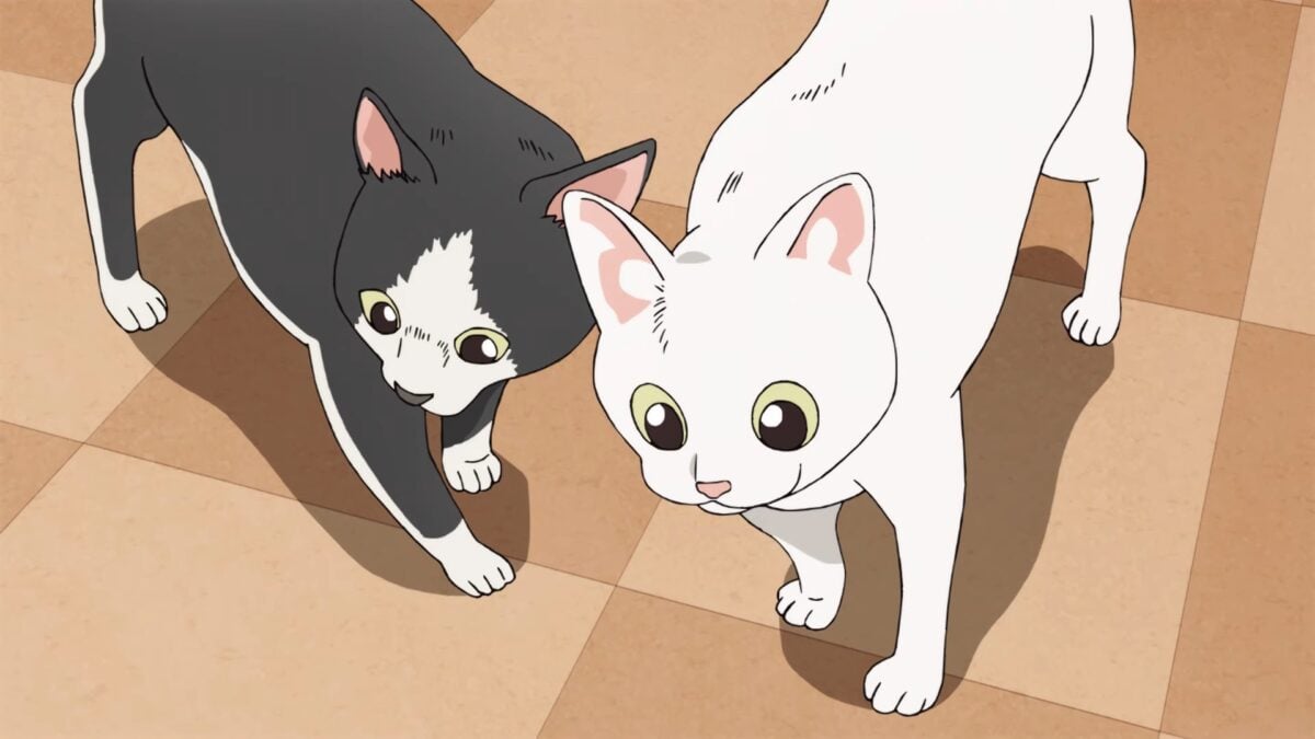 The Way of the Househusband Season 2 Brings More Cats | J-List Blog - The Way Of The House Husband Cat