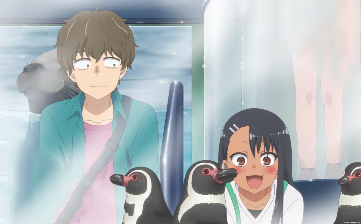 Dont Toy With Me Miss Nagatoro S2 Episode 12 [END] Senpai Watches Nagatoro Watch Penguins