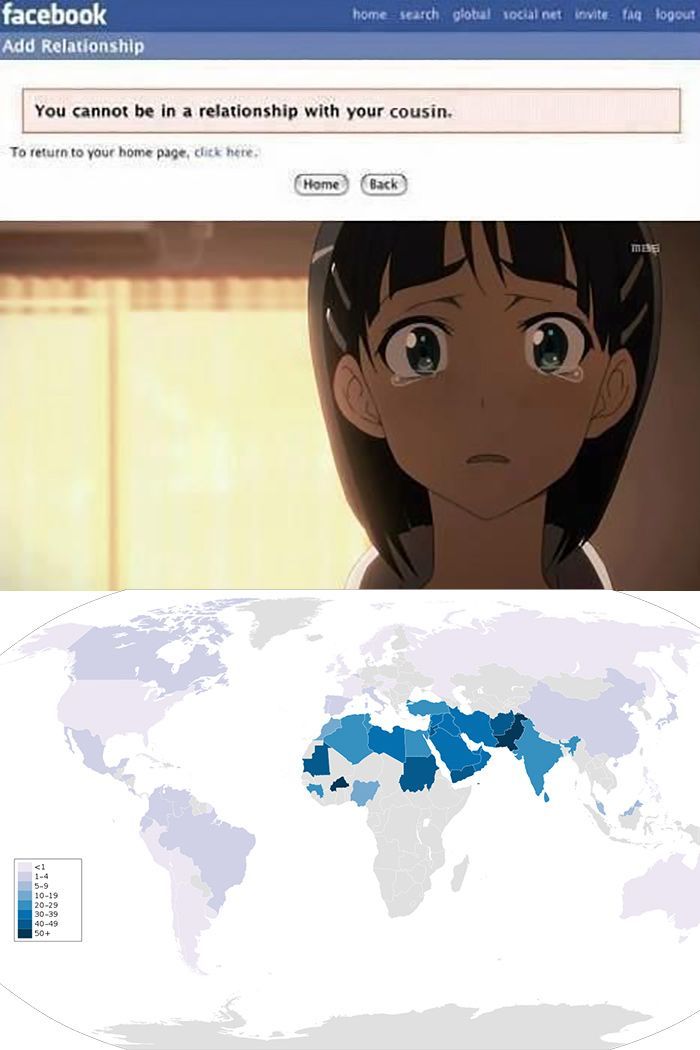 Anime Cousins Meme