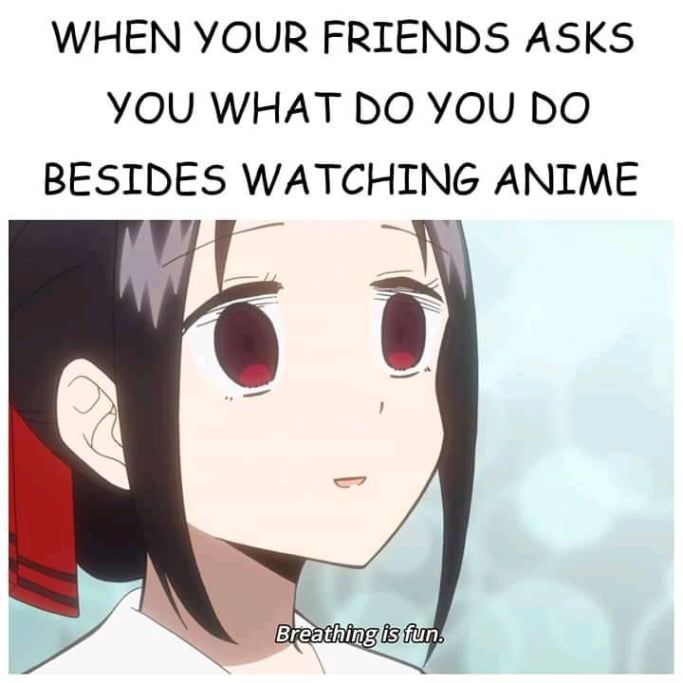 What Do You Do Besides Watching Anime Meme